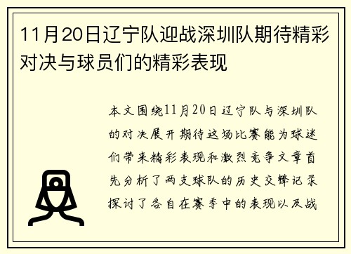 11月20日辽宁队迎战深圳队期待精彩对决与球员们的精彩表现