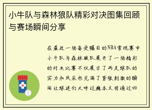 小牛队与森林狼队精彩对决图集回顾与赛场瞬间分享