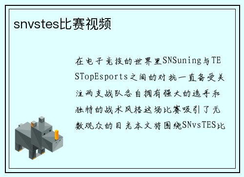 snvstes比赛视频