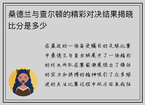 桑德兰与查尔顿的精彩对决结果揭晓比分是多少
