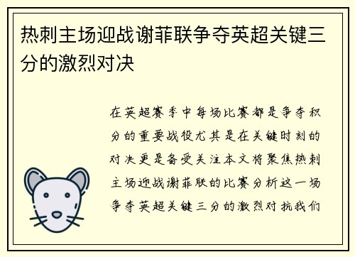 热刺主场迎战谢菲联争夺英超关键三分的激烈对决